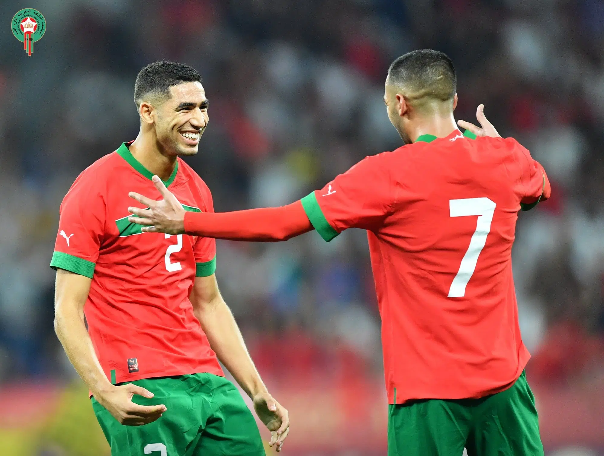 Hakim-Hakimi, la peste et le choléra