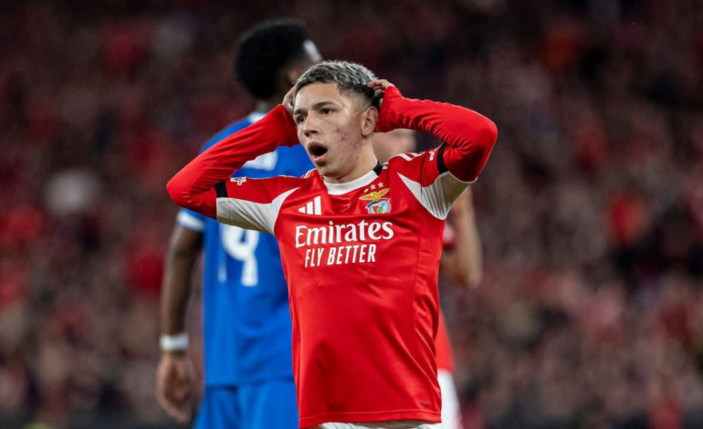 ENQUÊTE UEFA POUR ALLÉGATIONS DE RACISME DANS LE FOOTBALL