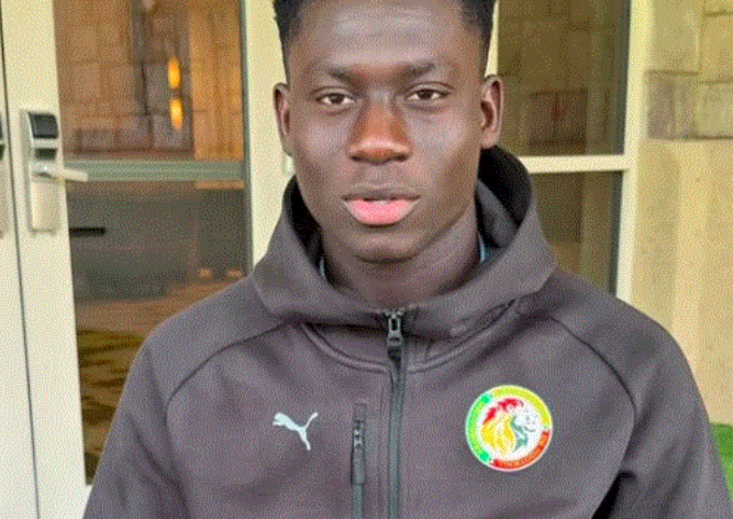 Bara Sapco Ndiaye, la surprise qui incarne la relève chez les Lions
